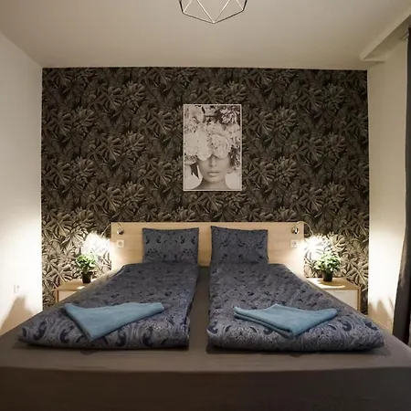 Apartment Moonlight Premium